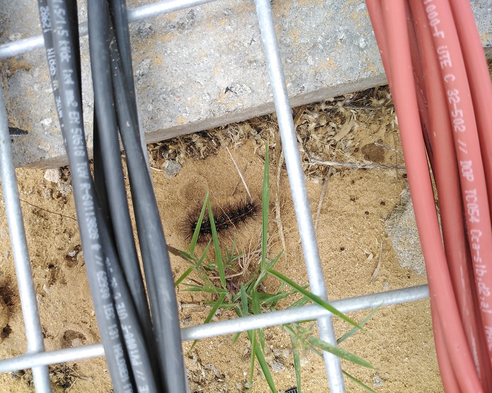MPS PROJECT